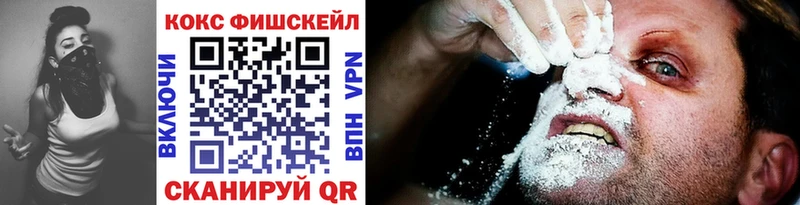 купить закладку  Демидов  COCAIN Эквадор 