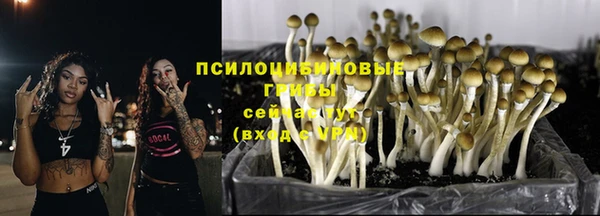 синтетический гашиш Балахна