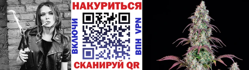 Шишки марихуана планчик Демидов